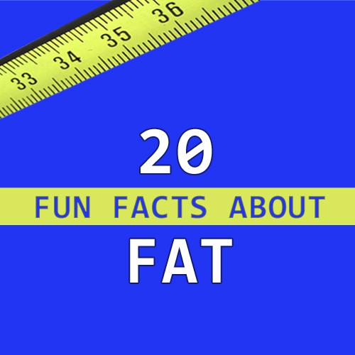 20 Fun Facts About Fat
